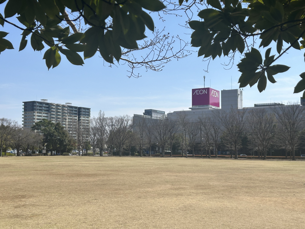 国際太極拳の日（３／２１）に太極拳してきました～♪